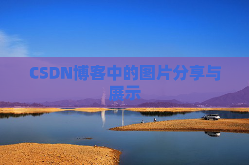 CSDN博客中的图片分享与展示